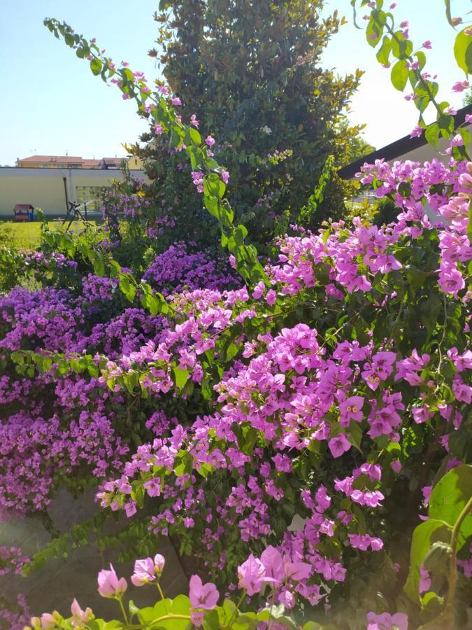 B&B Villa La Bouganville Camaiore Kültér fotó
