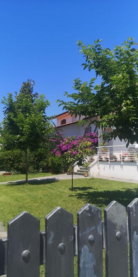 B&B Villa La Bouganville Camaiore Kültér fotó