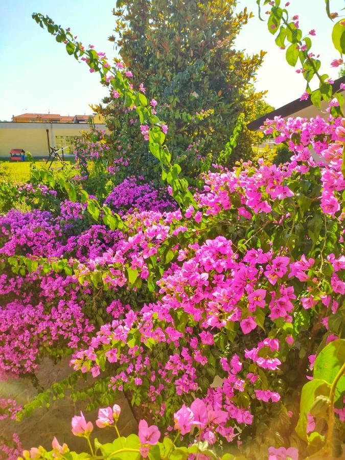 B&B Villa La Bouganville Camaiore Kültér fotó