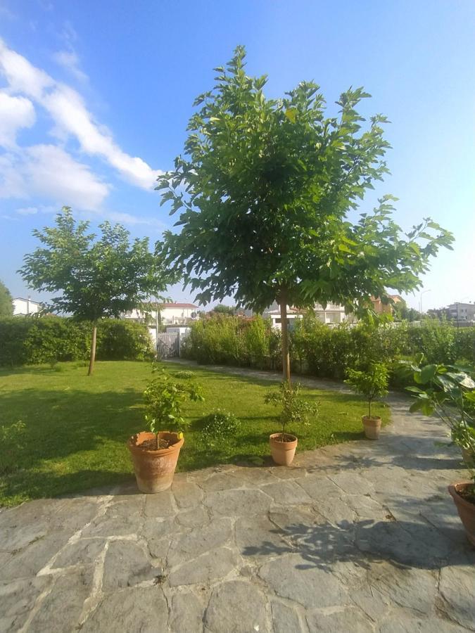 B&B Villa La Bouganville Camaiore Kültér fotó