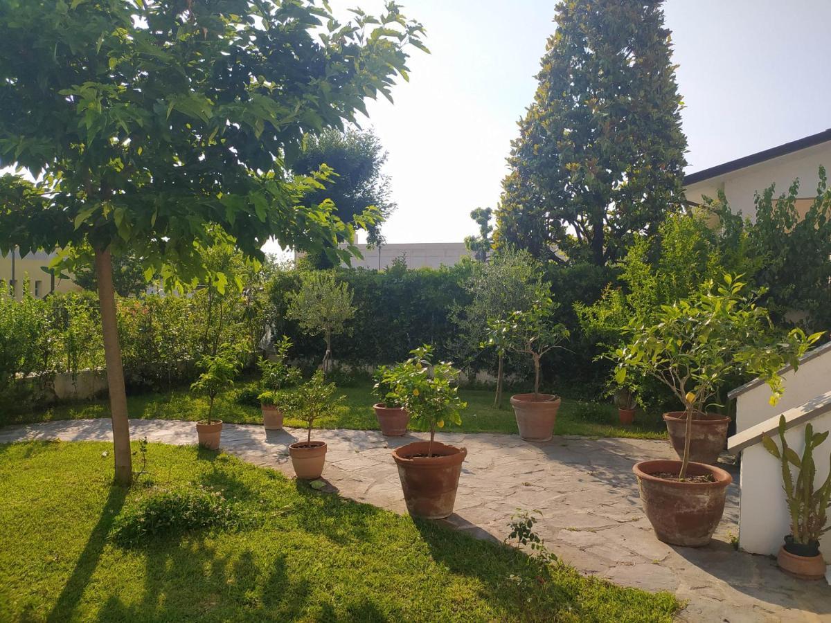 B&B Villa La Bouganville Camaiore Kültér fotó