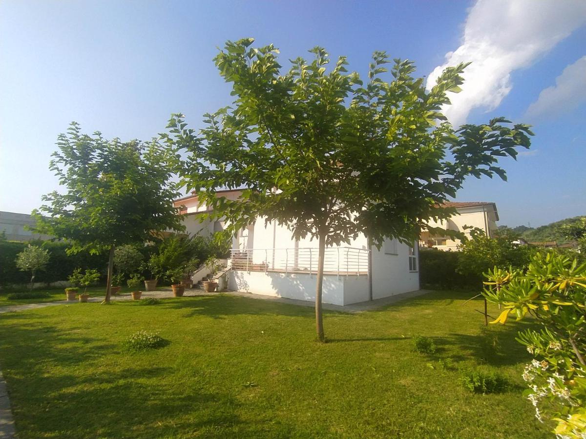 B&B Villa La Bouganville Camaiore Kültér fotó