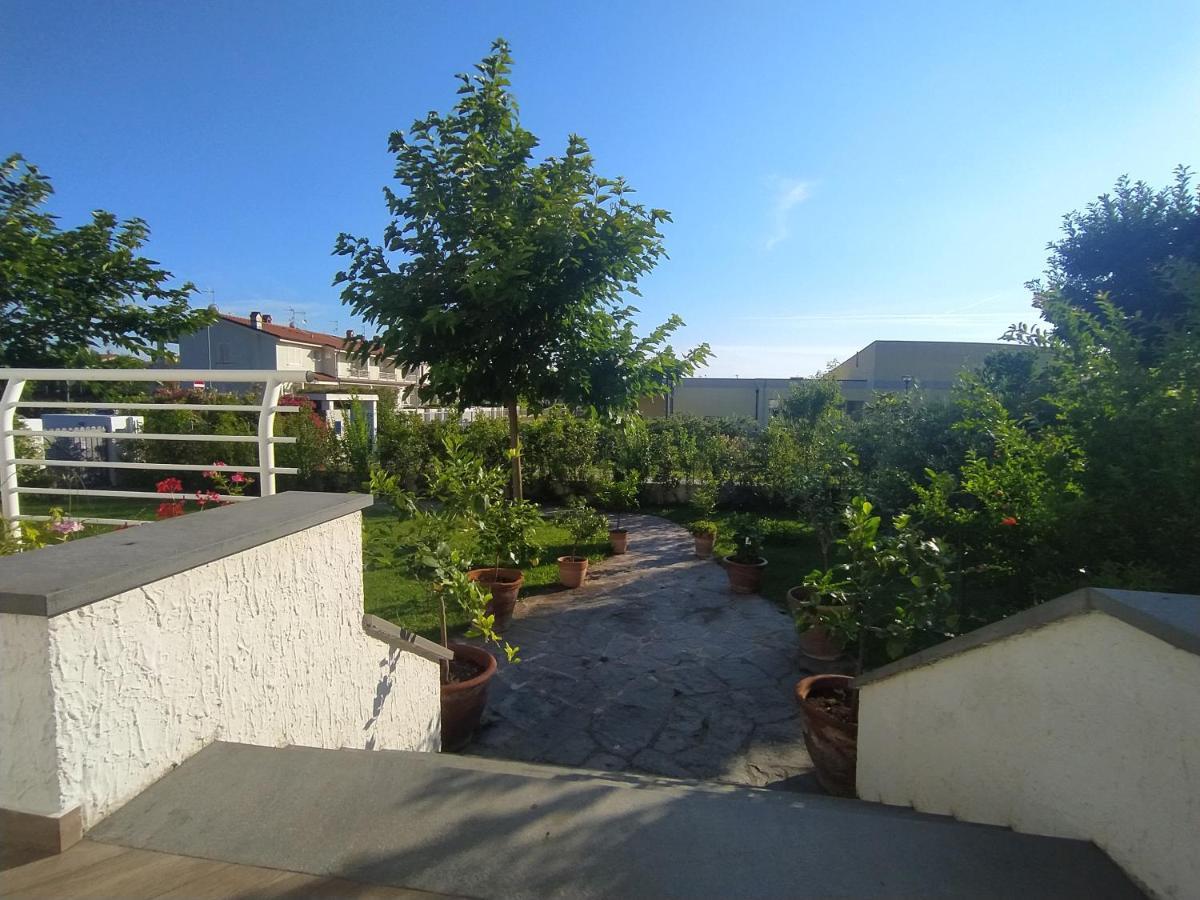 B&B Villa La Bouganville Camaiore Kültér fotó