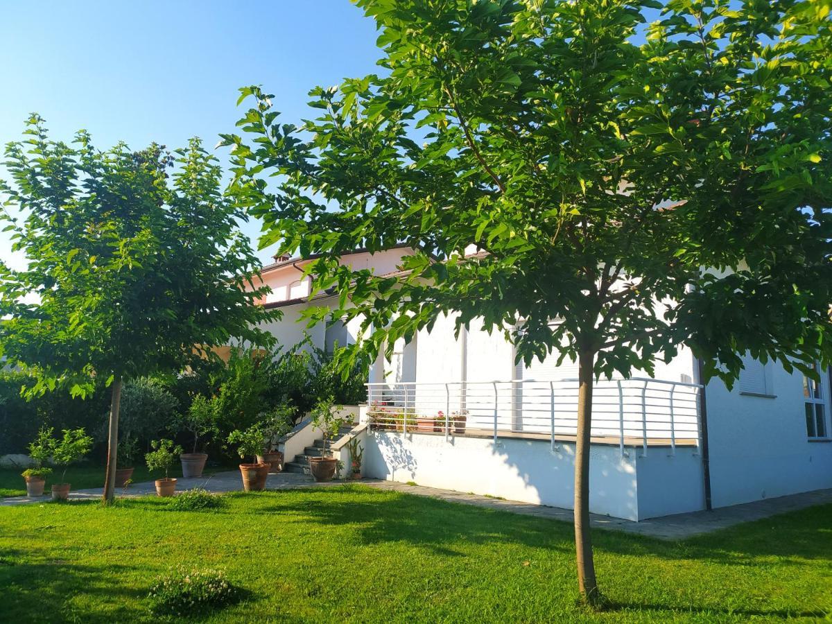 B&B Villa La Bouganville Camaiore Kültér fotó